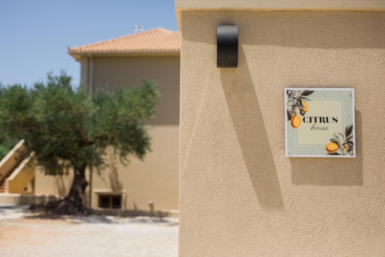 Citrus House Διαμέρισμα Ραζάτα Εξωτερικό φωτογραφία